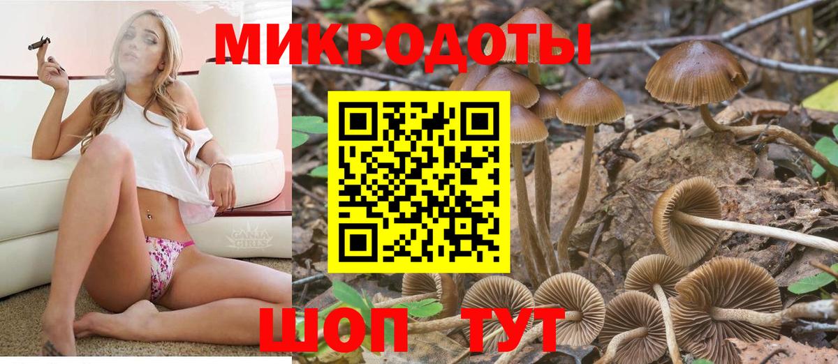 Галлюциногенные грибы Psilocybe  Вход с VPN  Гусев  Псилоцибиновые грибы ЛСД 