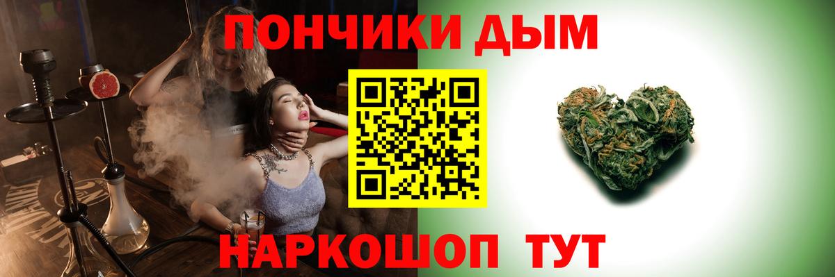 Конопля гибрид Гусев